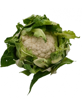 Bloemkool (1 st.) -...