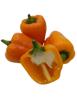 Poivron jaune (5 kg) -...