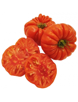 Tomates anciennes...