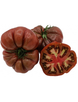 Oude zwarte tomaat uit...