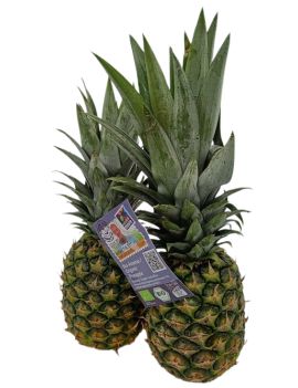 Ananas sweet (12 kg) -...