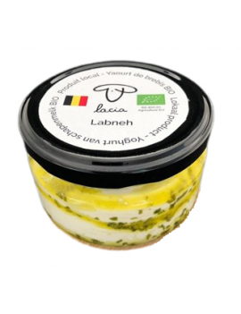 Labneh huile d'olive...