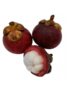 Mangoustan (3 kg) -...