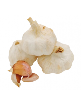 Ail blanc cal. 60/80...
