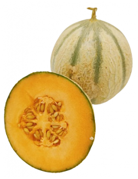 Melon Charentais (12...