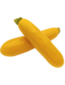 Courgette jaune cal....
