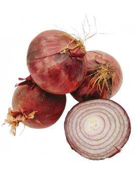 Oignons rouges VRAC...
