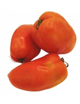 Tomates anciennes...