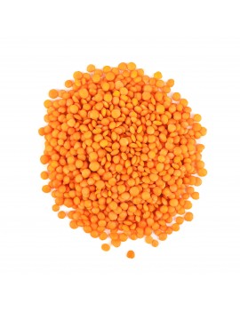 LENTILLES CORAIL