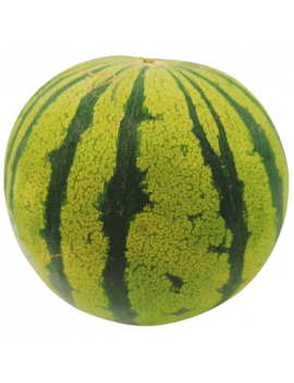 Pastèque jaune (20 kg...