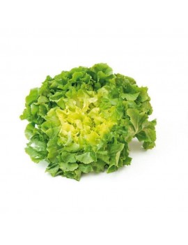PRECO - Scarole (1 pc)...