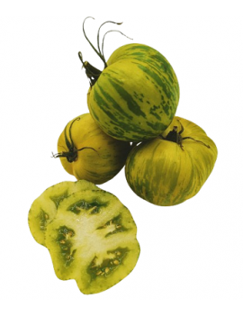 Tomate ancienne verte...