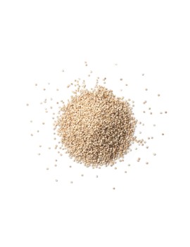 QUINOA BELGISCH
