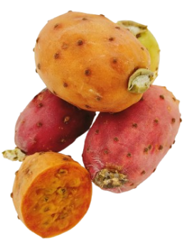Cactusvijg (4 kg) -...