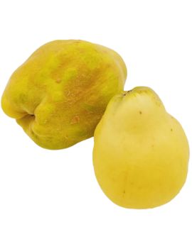 Kweepeer (11 kg) -...