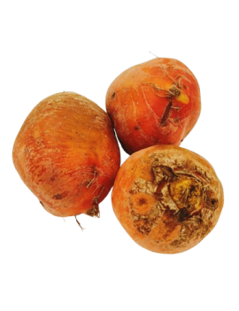 Gele biet BULK (5 kg)...