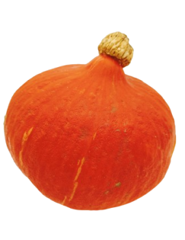 Potimarron (10 kg) -...