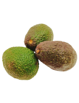 Hass avocado 24 kal....
