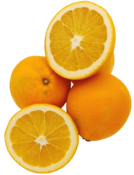 Orange Salustiana cal....