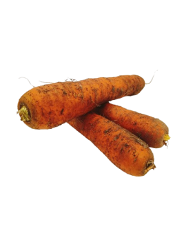 Zandpeen (12 kg) -...