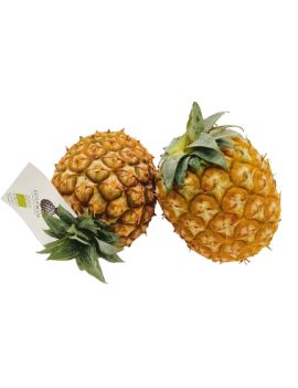 Ananas des Açores (5,5...