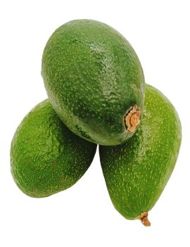 Avocado Bacon kal. 20...