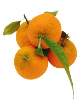 Clementine met blad (6...