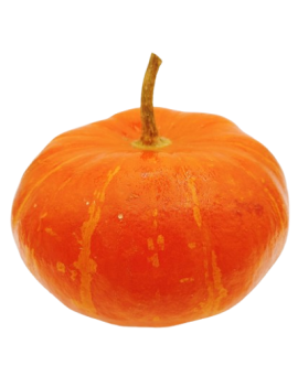 Helderrode pompoen (12...