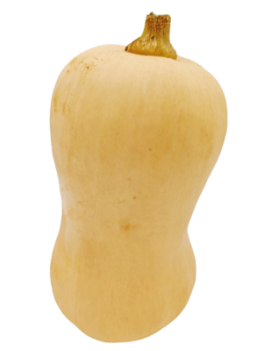 Butternut (10 kg) -...