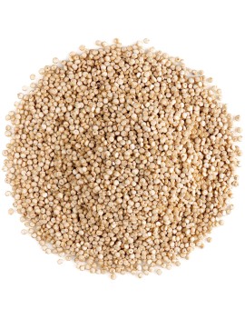 QUINOA (PERU)