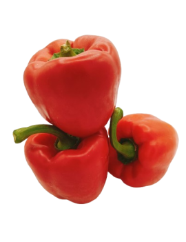Poivron rouge...