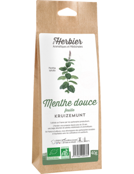 MENTHE DOUCE FEUILLES
