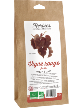 VIGNE ROUGE FEUILLES