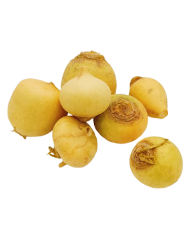 Navet beurre (5 kg) -...