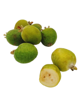 Feijoa (6 kg) - cat. 2...