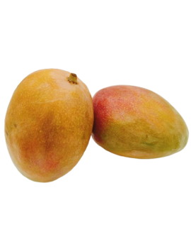 Keitt mango kal. 8 (4...
