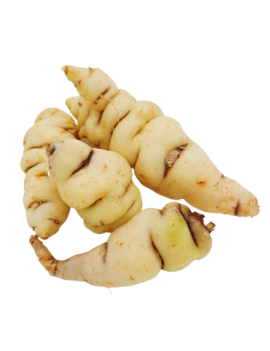 Oost-Indische kers (2...