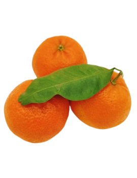 Clementine Tango met...