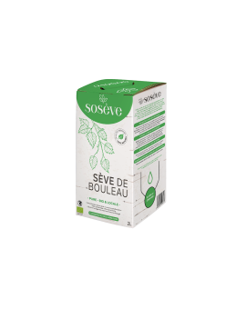 Sève de bouleau...