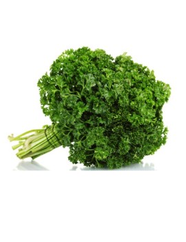 Gekruld peterselie (1...