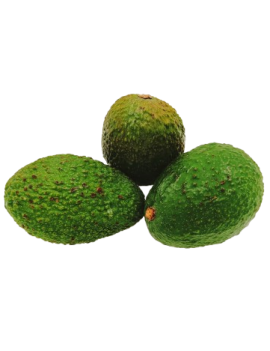 Avocat Hass cal. 26/28...