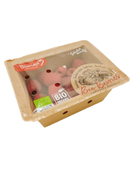 Framboise (1 barquette...