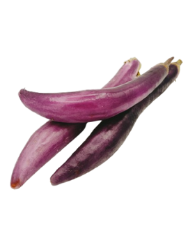 Aubergine Ping Tung (3...