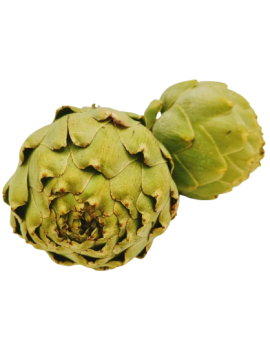 Artichaut Green Queen...