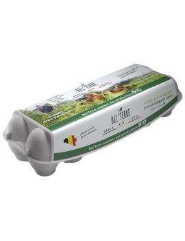 Carton de 10 boîtes de...