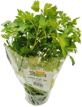 Persil plat en pot -...