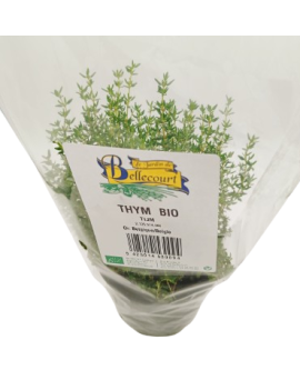 Thym en pot - cat. 1...