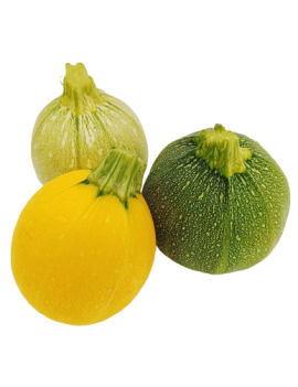 Courgette ronde...
