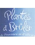 PLANTES À BRULER