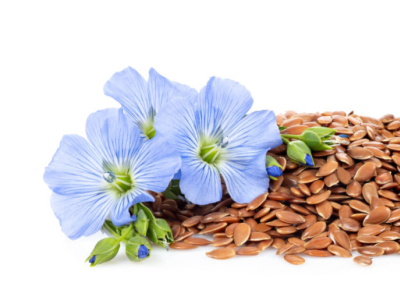 Tout savoir sur les graines de lin